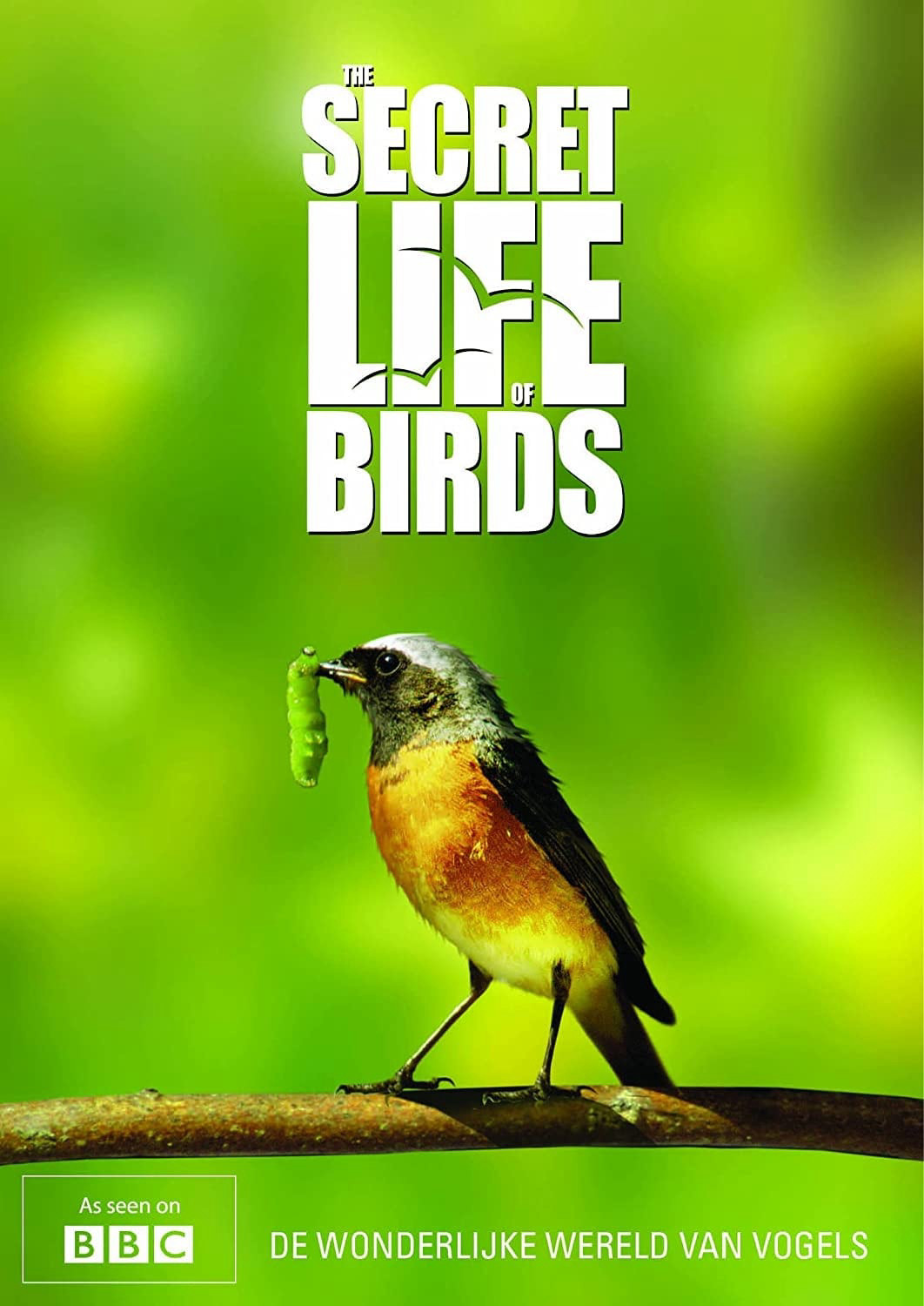 Bí ẩn cuộc sống loài chim (The Secret Life of Birds) [2012]